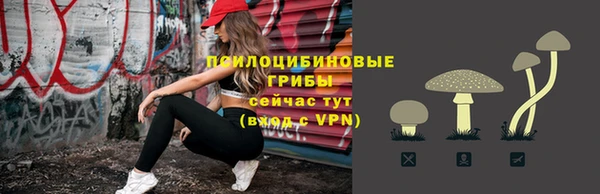 спиды Алексеевка